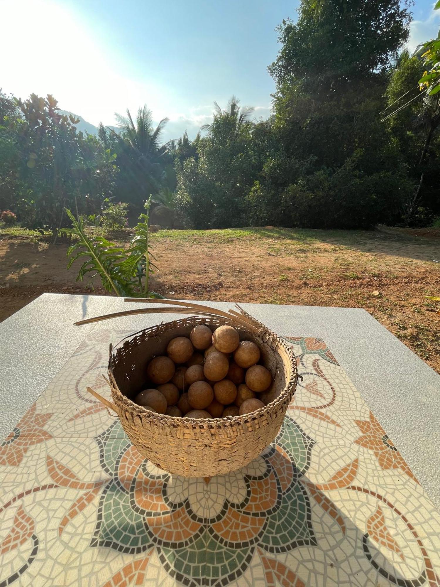 Calm Shack - 2 Bedroom-Boutique Farm Stay Munnar Exterior foto